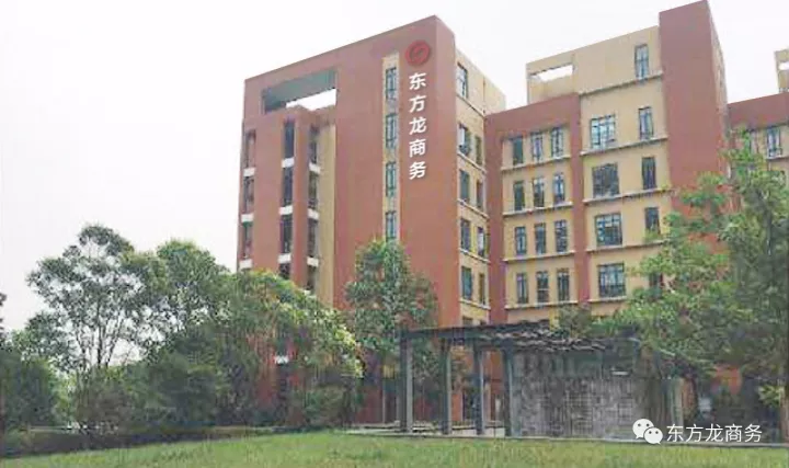 東方龍商務(wù)三地聯(lián)動(dòng)，穩(wěn)步實(shí)施“12345”工程，一批大項(xiàng)目開(kāi)發(fā)對(duì)接、雙向考察和投資落地