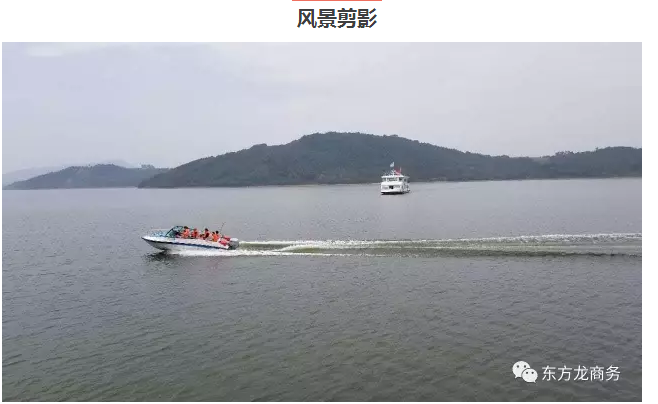 【團隊建設(shè)】東方龍商務(wù)團隊天目湖站拓展活動圓滿成功