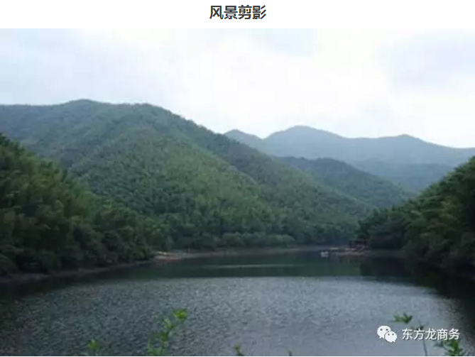 【團隊建設(shè)】東方龍商務(wù)團隊天目湖站拓展活動圓滿成功
