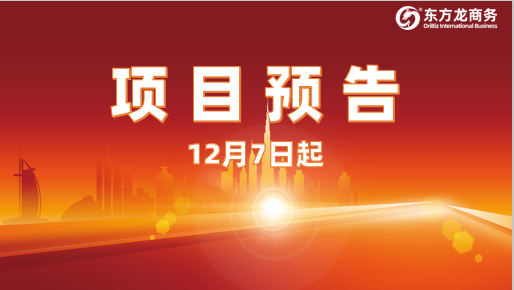 狠抓投資選址項目促實效！12月7日起，21家優(yōu)質(zhì)企業(yè)精準對接全國政府園區(qū)