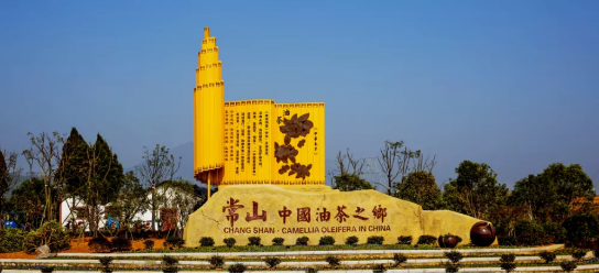 政府委托招商合作丨全力助推浙江衢州常山縣傳統產業加快升級，新興產業異軍突起