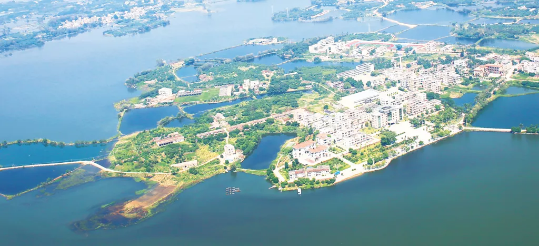 集團(tuán)全力助推廣東湛江廉江市委托招商引資，圍繞優(yōu)勢(shì)產(chǎn)業(yè)補(bǔ)鏈、強(qiáng)鏈、延鏈