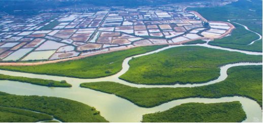 集團(tuán)全力助推廣東湛江廉江市委托招商引資，圍繞優(yōu)勢(shì)產(chǎn)業(yè)補(bǔ)鏈、強(qiáng)鏈、延鏈