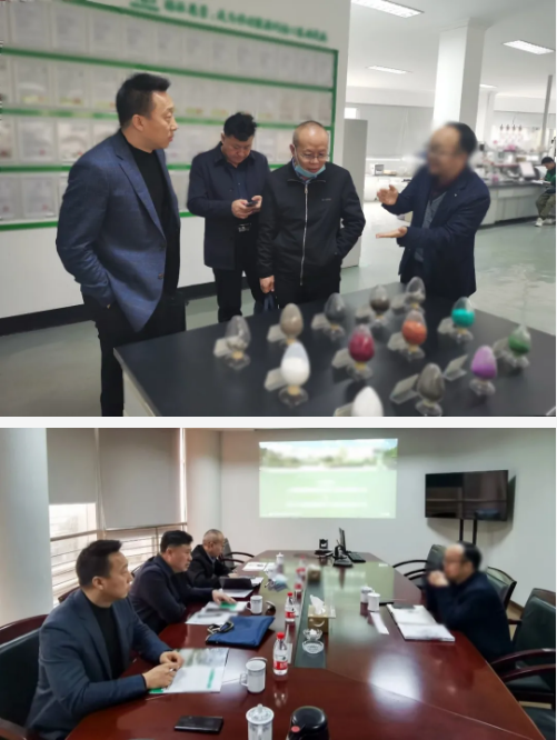 精準契合,提升實效!集團成功助推3家優質投資選址企業對接地方政府 精準契合,提升實效!集團成功助推3家優質投資選址企業對接地方政府