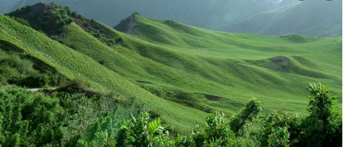 東方龍商務集團助力新疆烏什縣委托招商引資，推進產(chǎn)業(yè)發(fā)展集聚