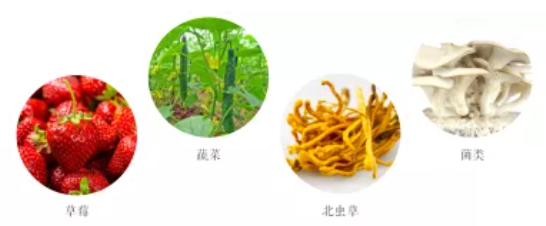 集團全力助推遼寧省燈塔市委托招商引資，以“特色小鎮”打造全國產業集聚區
