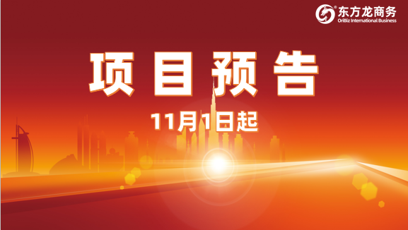 大干100天，提速、提效、提質(zhì)！11月1日起，24家優(yōu)質(zhì)投資選址企業(yè)精準對接全國政府園區(qū)