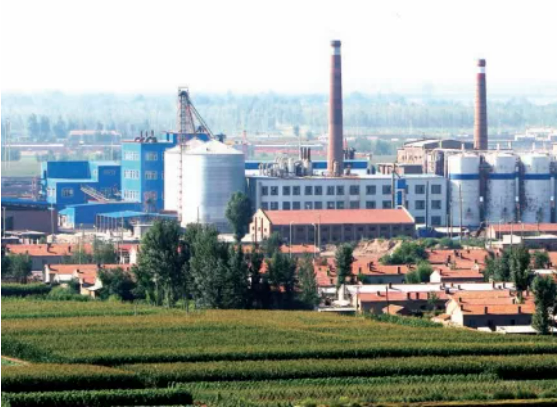 集團全力助推內蒙古自治區通遼市委托招商引資，強勢打造五大產業集群高質量發展新格局