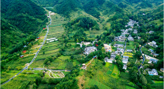 集團全力助推甘肅隴南康縣委托招商引資，以綠色發展推動鄉村振興