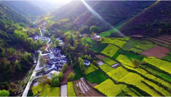 集團全力助推甘肅隴南康縣委托招商引資，以綠色發展推動鄉村振興