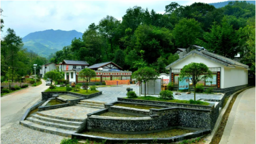 集團全力助推甘肅隴南康縣委托招商引資，以綠色發展推動鄉村振興
