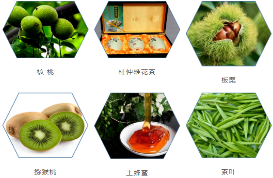 集團全力助推甘肅隴南康縣委托招商引資，以綠色發展推動鄉村振興