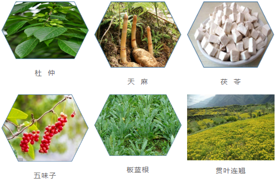 集團全力助推甘肅隴南康縣委托招商引資，以綠色發展推動鄉村振興