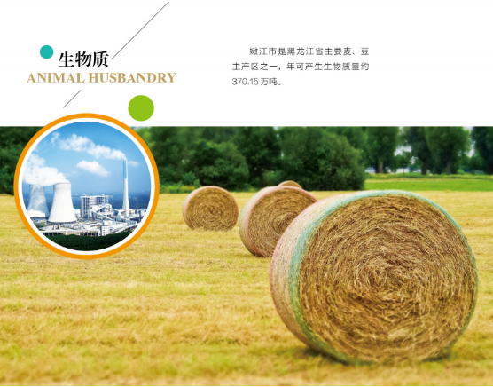 集團(tuán)全力助推黑龍江嫩江市委托招商引資，以6大優(yōu)勢助推地方產(chǎn)業(yè)高質(zhì)量發(fā)展