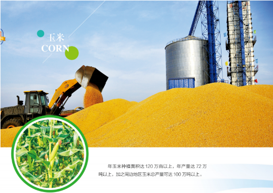 集團(tuán)全力助推黑龍江嫩江市委托招商引資，以6大優(yōu)勢助推地方產(chǎn)業(yè)高質(zhì)量發(fā)展