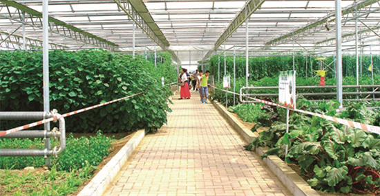 集團全力助推湖南吉首市委托招商招商引資，打造產(chǎn)業(yè)發(fā)展新地標