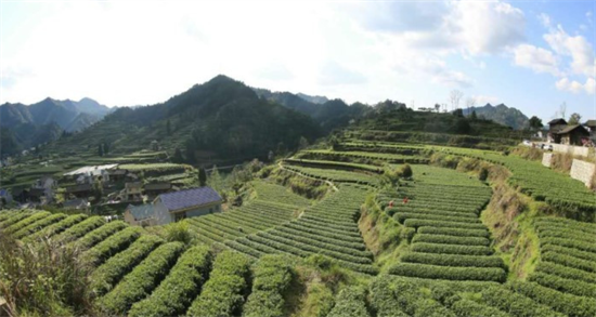 集團全力助推湖南吉首市委托招商招商引資，打造產(chǎn)業(yè)發(fā)展新地標