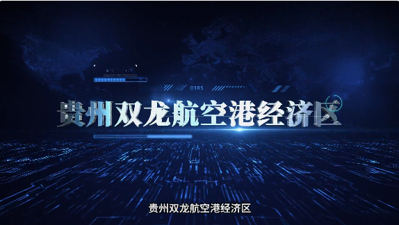 集團全力助推貴州雙龍航空港經濟區委托招商引資，搶占發展先機，打造開放經濟新高地