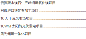 集團全力助推黑龍江省同江市委托招商引資，充分挖掘開發潛能，再次綻放邊陲魅力