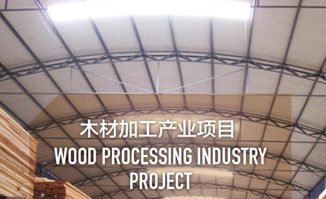 集團全力助推黑龍江省同江市委托招商引資，充分挖掘開發潛能，再次綻放邊陲魅力