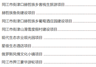集團全力助推黑龍江省同江市委托招商引資，充分挖掘開發潛能，再次綻放邊陲魅力