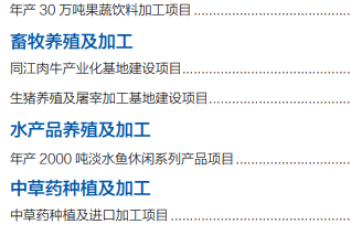 集團全力助推黑龍江省同江市委托招商引資，充分挖掘開發潛能，再次綻放邊陲魅力