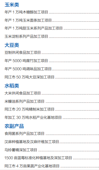 集團全力助推黑龍江省同江市委托招商引資，充分挖掘開發潛能，再次綻放邊陲魅力
