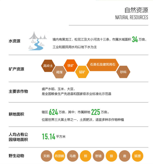 集團全力助推黑龍江省同江市委托招商引資，充分挖掘開發潛能，再次綻放邊陲魅力