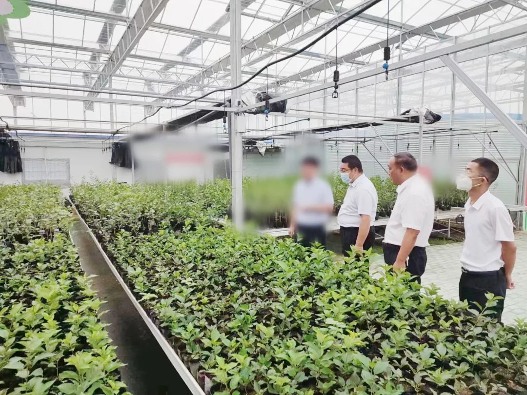 創新農業科技,培育發展動能!甘肅某地方政府考察智慧農業基地投資選址項目 創新農業科技,培育發展動能!甘肅某地方政府考察智慧農業基地投資選址項目