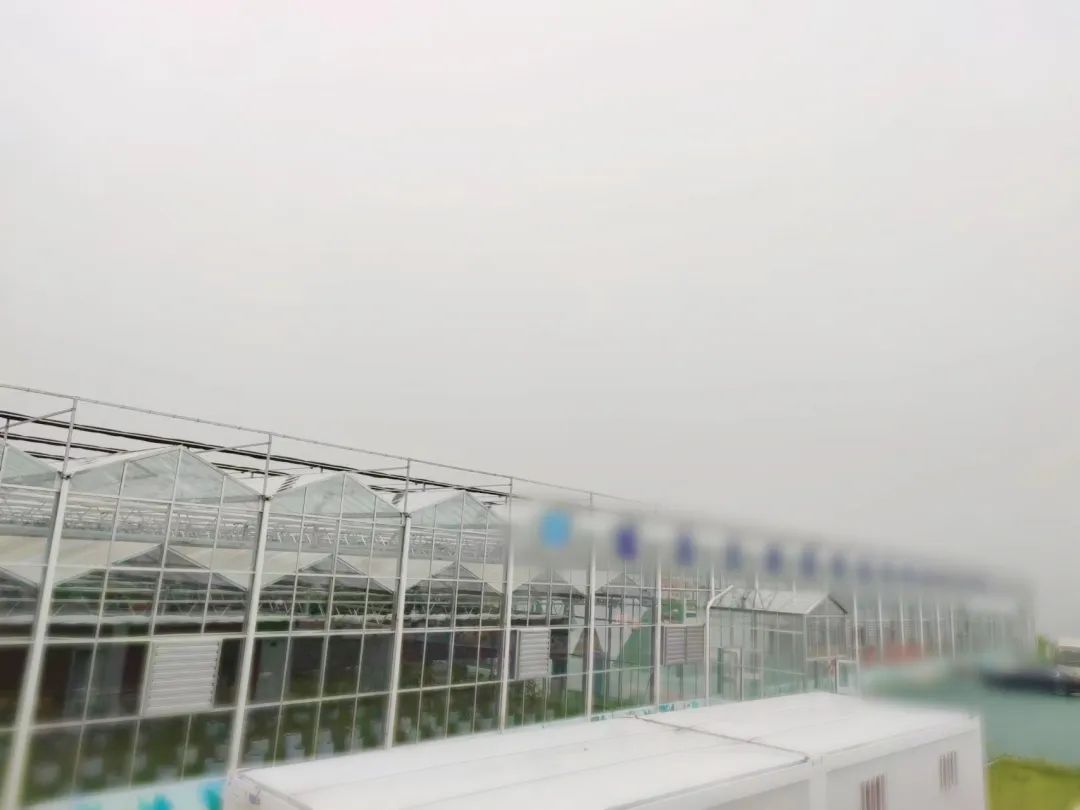 創新農業科技,培育發展動能!甘肅某地方政府考察智慧農業基地投資選址項目 創新農業科技,培育發展動能!甘肅某地方政府考察智慧農業基地投資選址項目