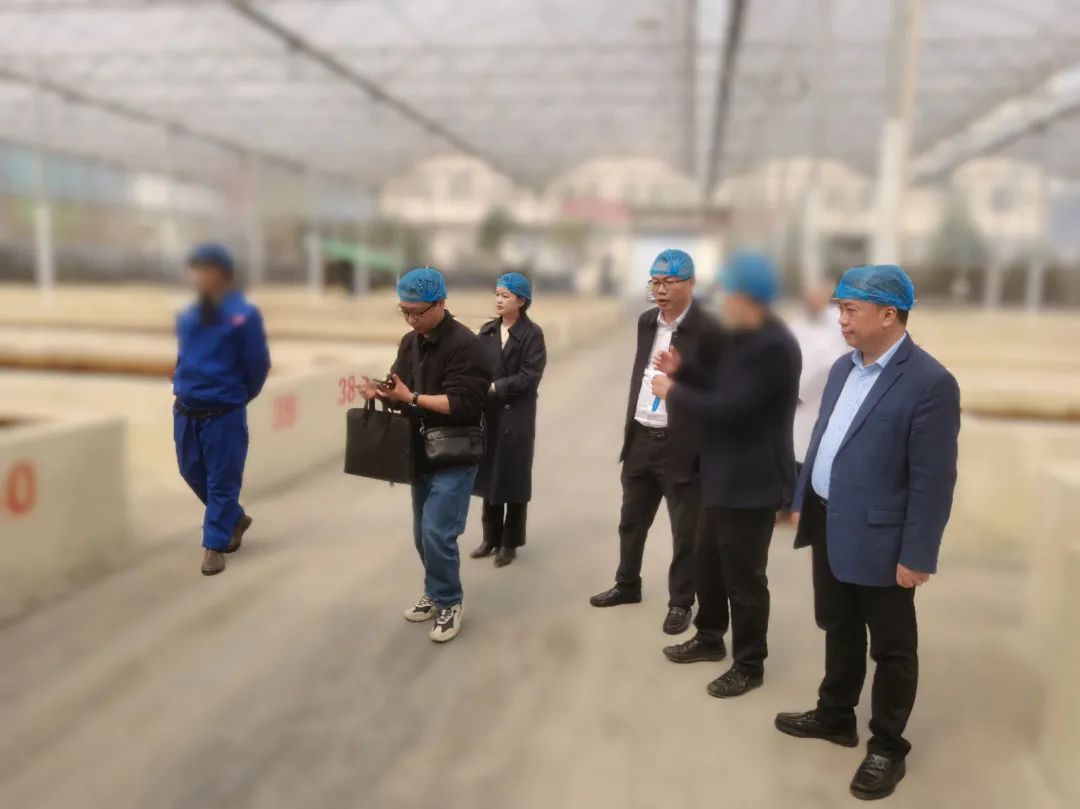 農業產業化龍頭企業,20余年生產經驗!四川某地方政府成功對接老牌調味品擴建投資選址項目 農業產業化龍頭企業,20余年生產經驗!四川某地方政府成功對接老牌調味品擴建投資選址項目