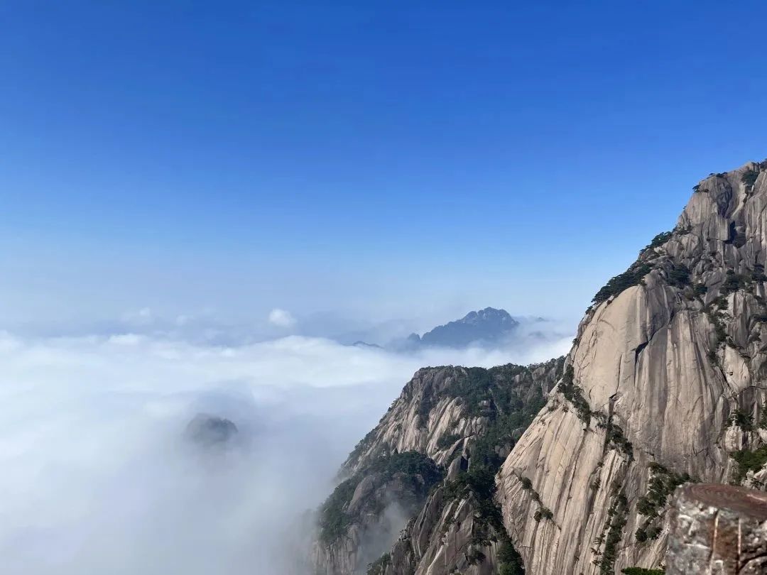 東方龍商務與春天有個約會!集團100余人赴安徽黃山“團建”,太嗨了!“奔跑二季度”——我們準備好了! 東方龍商務與春天有個約會!集團100余人赴安徽黃山“團建”,太嗨了!“奔跑二季度”——我們準備好了!