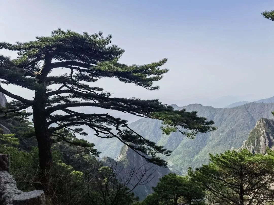 東方龍商務與春天有個約會!集團100余人赴安徽黃山“團建”,太嗨了!“奔跑二季度”——我們準備好了! 東方龍商務與春天有個約會!集團100余人赴安徽黃山“團建”,太嗨了!“奔跑二季度”——我們準備好了!