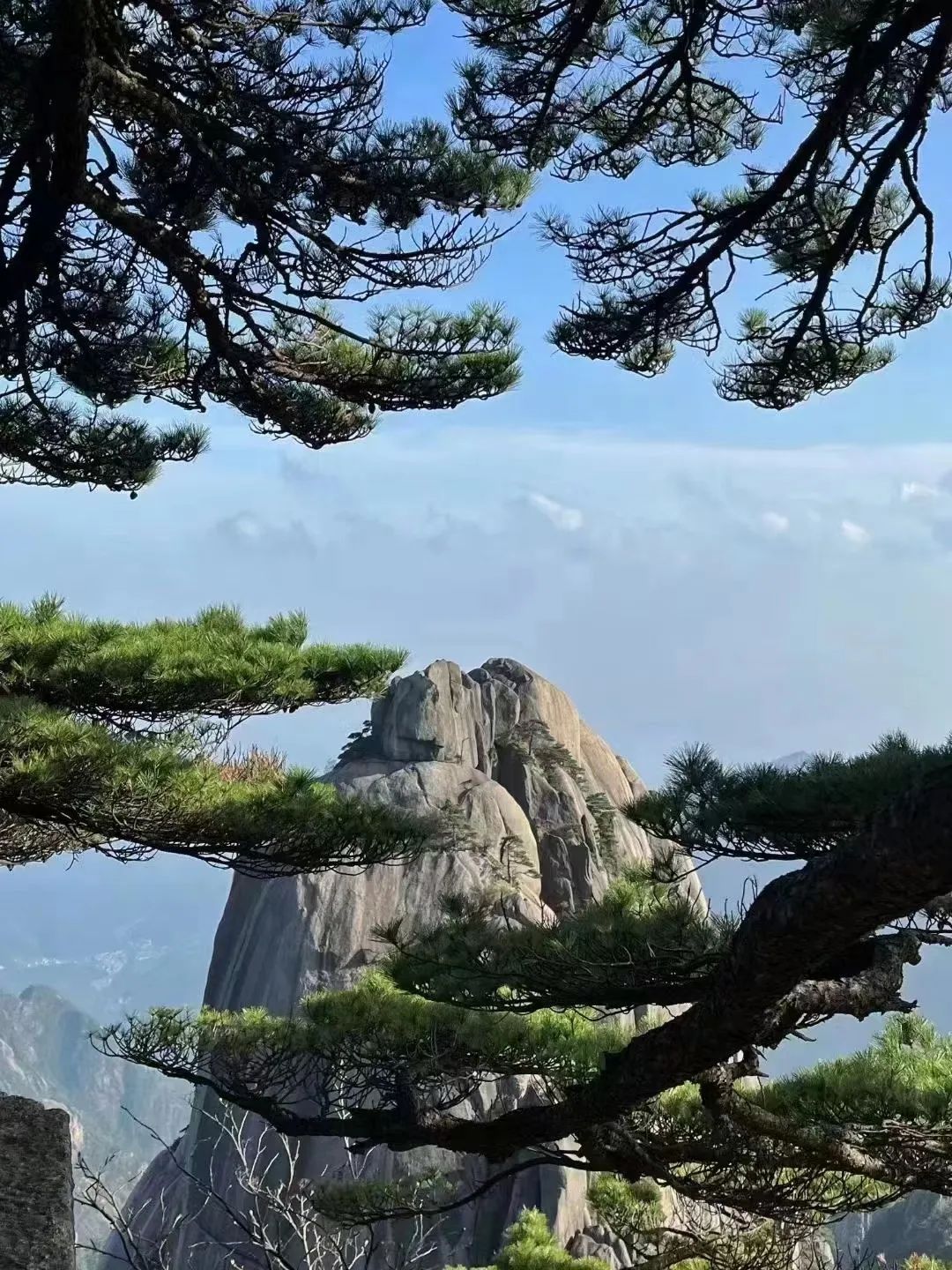 東方龍商務與春天有個約會!集團100余人赴安徽黃山“團建”,太嗨了!“奔跑二季度”——我們準備好了! 東方龍商務與春天有個約會!集團100余人赴安徽黃山“團建”,太嗨了!“奔跑二季度”——我們準備好了!