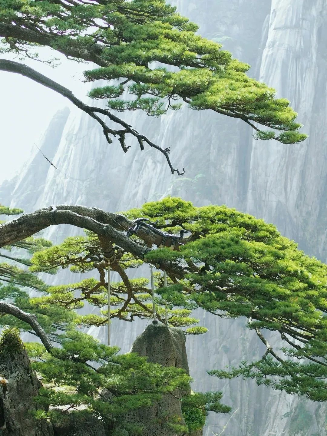 東方龍商務與春天有個約會!集團100余人赴安徽黃山“團建”,太嗨了!“奔跑二季度”——我們準備好了! 東方龍商務與春天有個約會!集團100余人赴安徽黃山“團建”,太嗨了!“奔跑二季度”——我們準備好了!