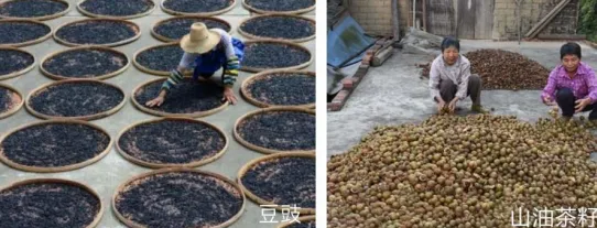 集團(tuán)全力助推廣西賀州昭平縣委托招商引資，助力產(chǎn)業(yè)蝶變升級(jí)！