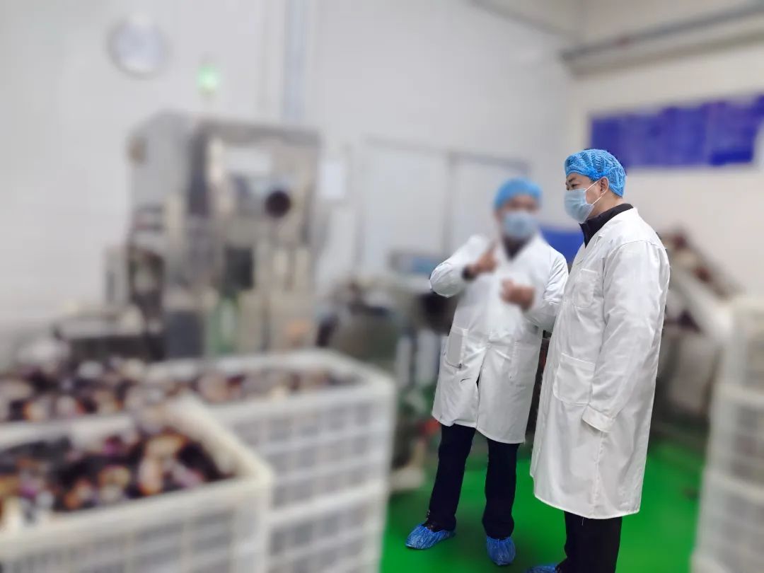 20年老牌企業，多家知名連鎖品牌合作商！四川某地方政府實地對接品牌休閑食品擴建投資選址項目