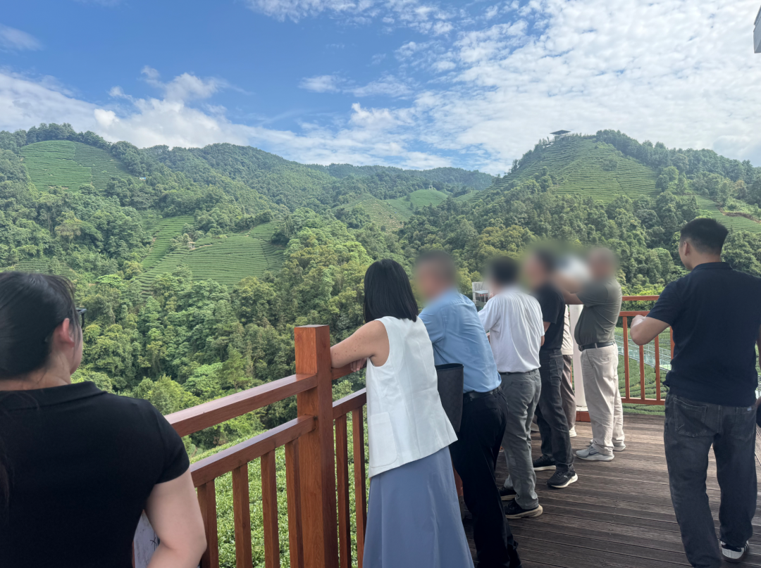 百項(xiàng)發(fā)明專利，全國擁有多個(gè)種植中心和生產(chǎn)基地！自主品牌茶葉加工生產(chǎn)擴(kuò)建投資選址項(xiàng)目方實(shí)地考察廣西某地方政府